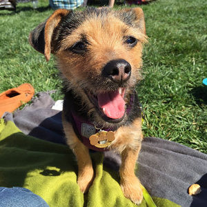 Meet your Posher, Ashley